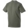 color:olive