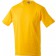 color:gold-yellow